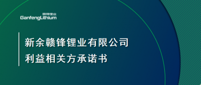 新余乐竞体育有限公司利益相关方承诺书